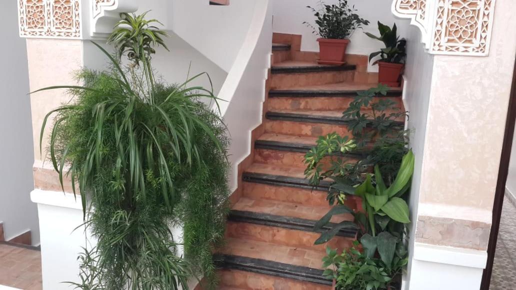 Riad Salt River Martil Exterior foto