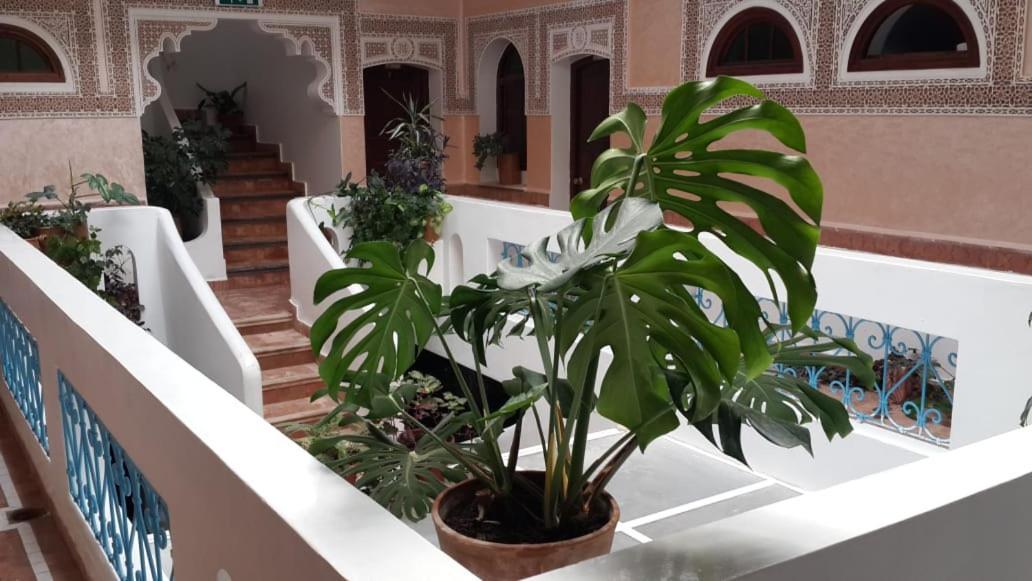 Riad Salt River Martil Exterior foto